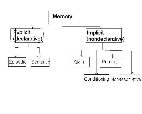 Encoding Memory